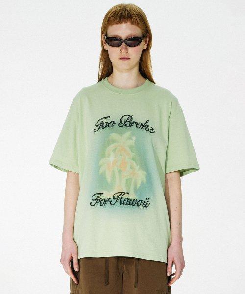 Summer is expensive Tee Mist Green