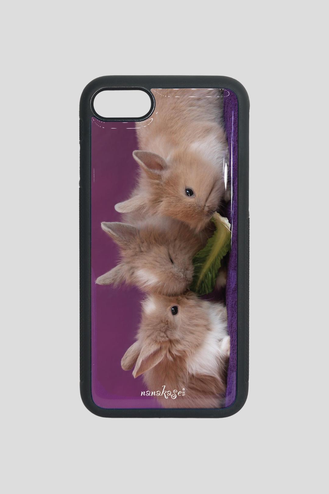three bunnies case
