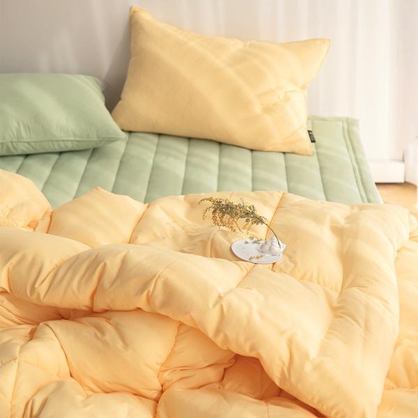 먼지없는 돈워리 m2 알러지케어 항균 유칼립투스솜 차렵이불