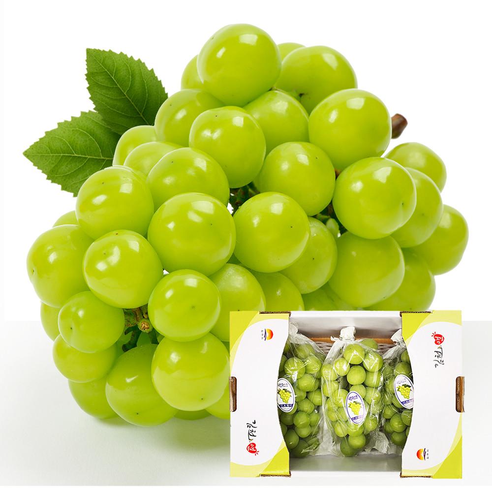 샤인머스켓 포도 1kg 2kg 망고포도