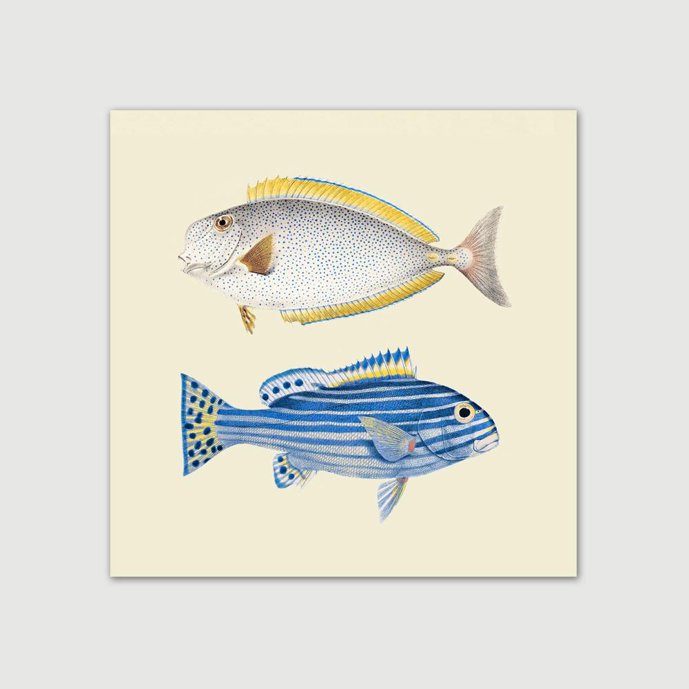 DYBDAHL 딥달 아트포스터 - Blue Notes 30x30 생선그림