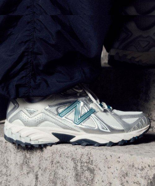 NBPDDS424S / ML610TAE (SILVER)