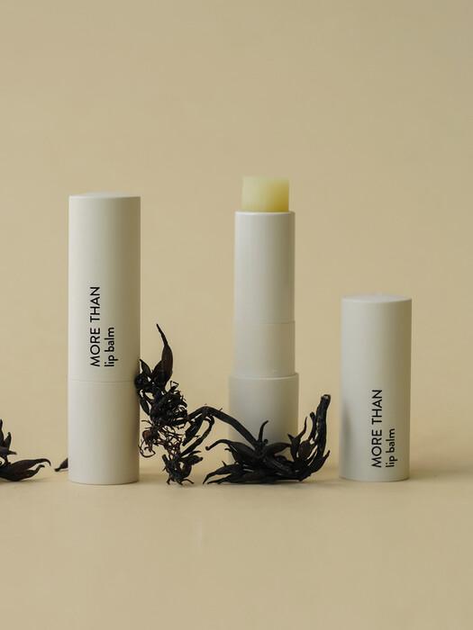 모어 댄 립밤 4g