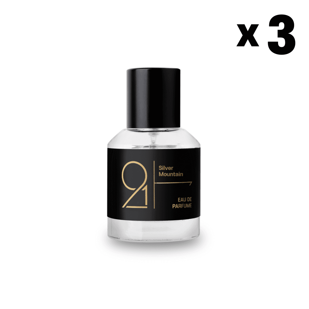 [2+1] 912 실버 마운틴 오드퍼퓸 40ml
