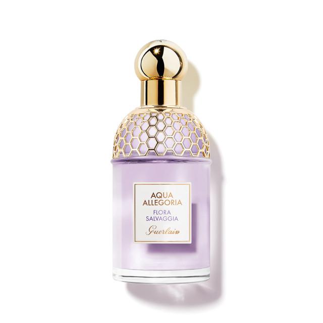 겔랑 아쿠아 알레고리아 오 드 뚜왈렛 플로라 살바지아 75ml : 겔랑