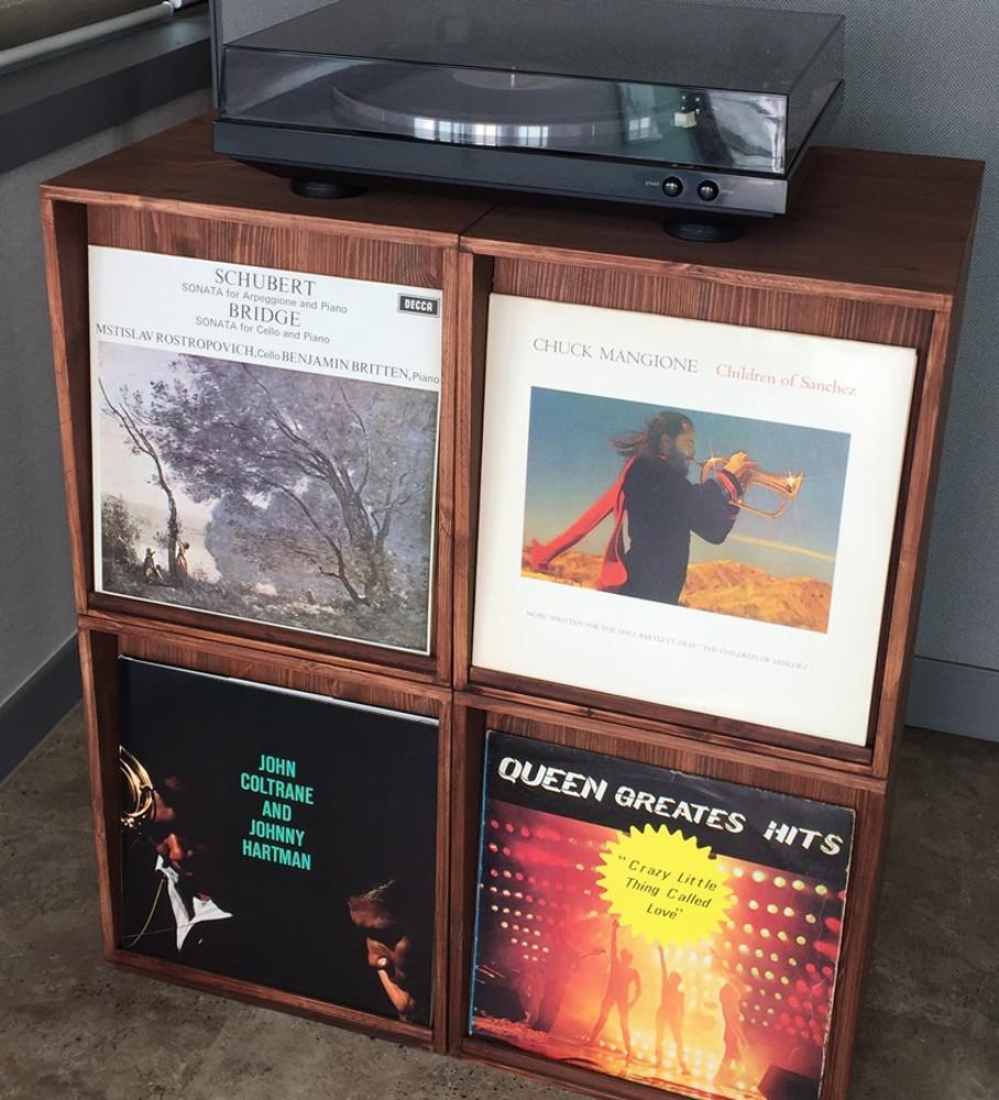 엘피수납장 슬라이딩lp랙 문있는엘피장 LP장식장