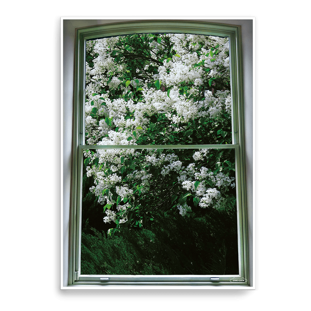 white flower