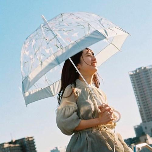 wpc우산 플랜티카 돔형 투명우산 장우산 PLV-001