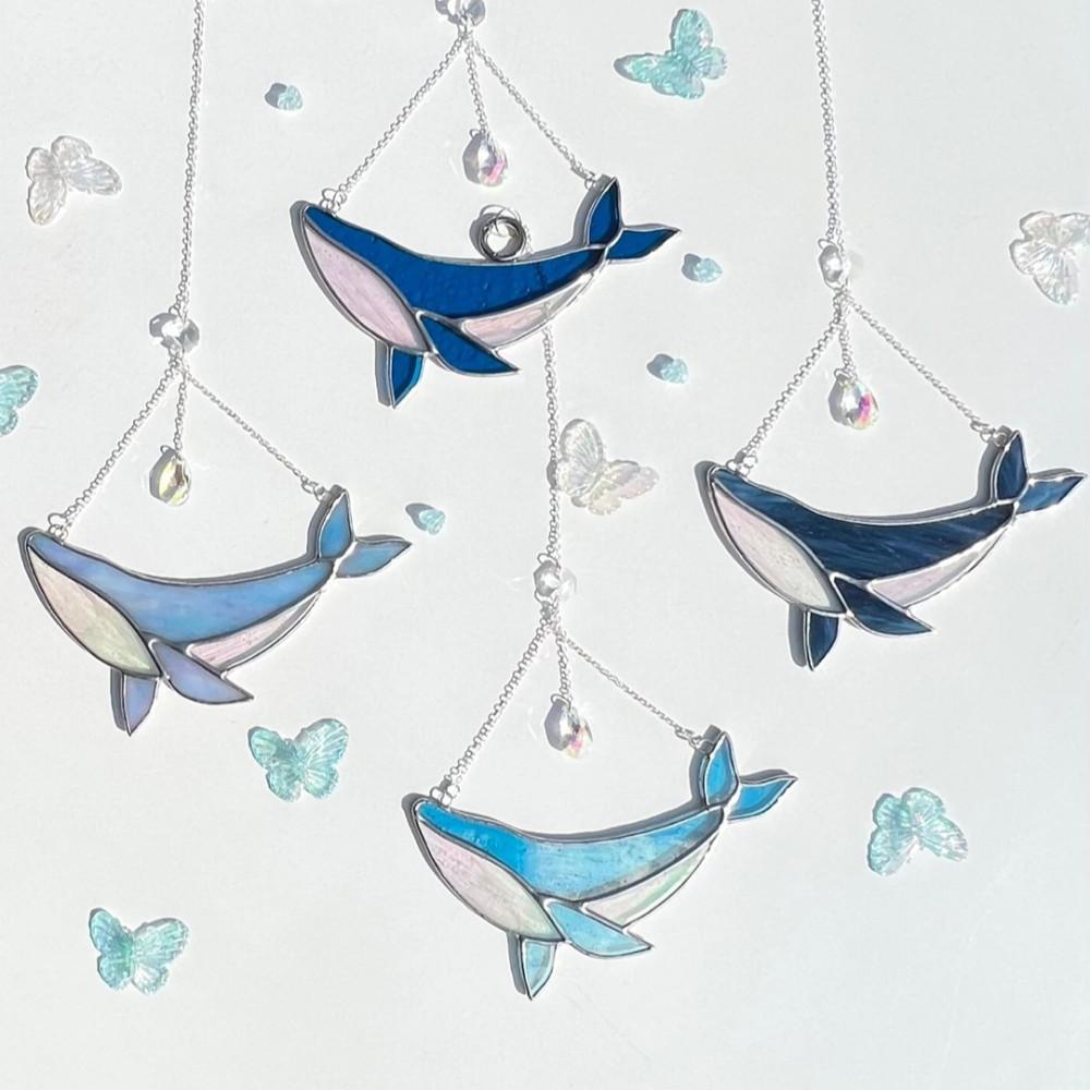 [스프링글]🐋미드나잇 웨일🐋썬캐쳐