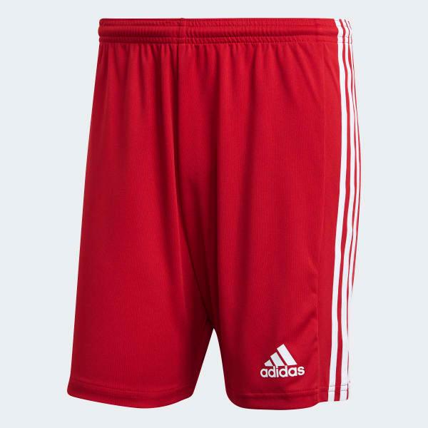 Squadra 21 Shorts