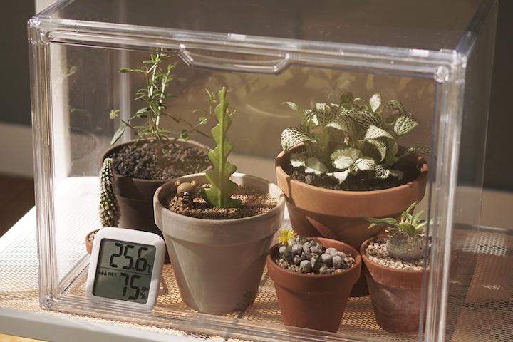 [오늘의딜]포근온실 미니 온실 비닐하우스 온습도계 기본포함