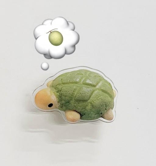 Turtle bread griptok 거북이메론빵그립톡