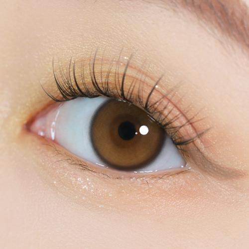 1DAY YURIAL - WATER BROWN 맑은브라운