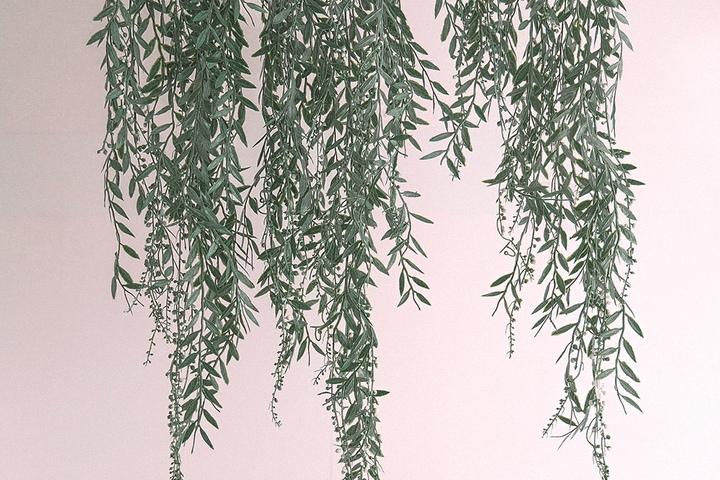 행잉플랜트조화 인조넝쿨 월데코 능수버들