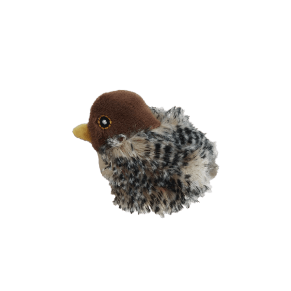 멜로디 참새 7020