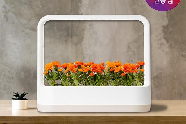 틔운 미니 식물생활가전 식물재배기 L012E1 베이지