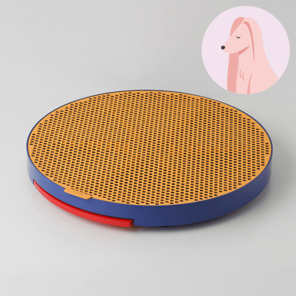 독슬로 배변판 (9차입고 예약구매)