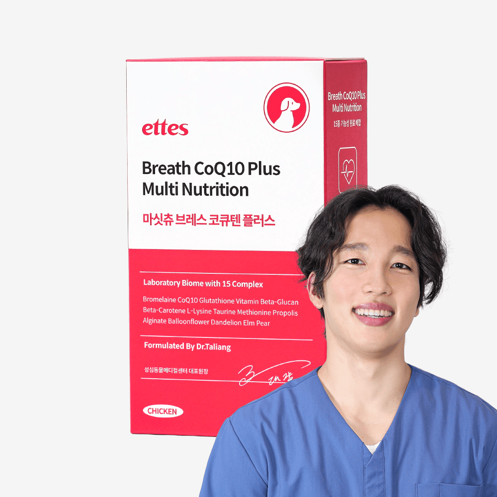 마싯츄 강아지 기관지 심장