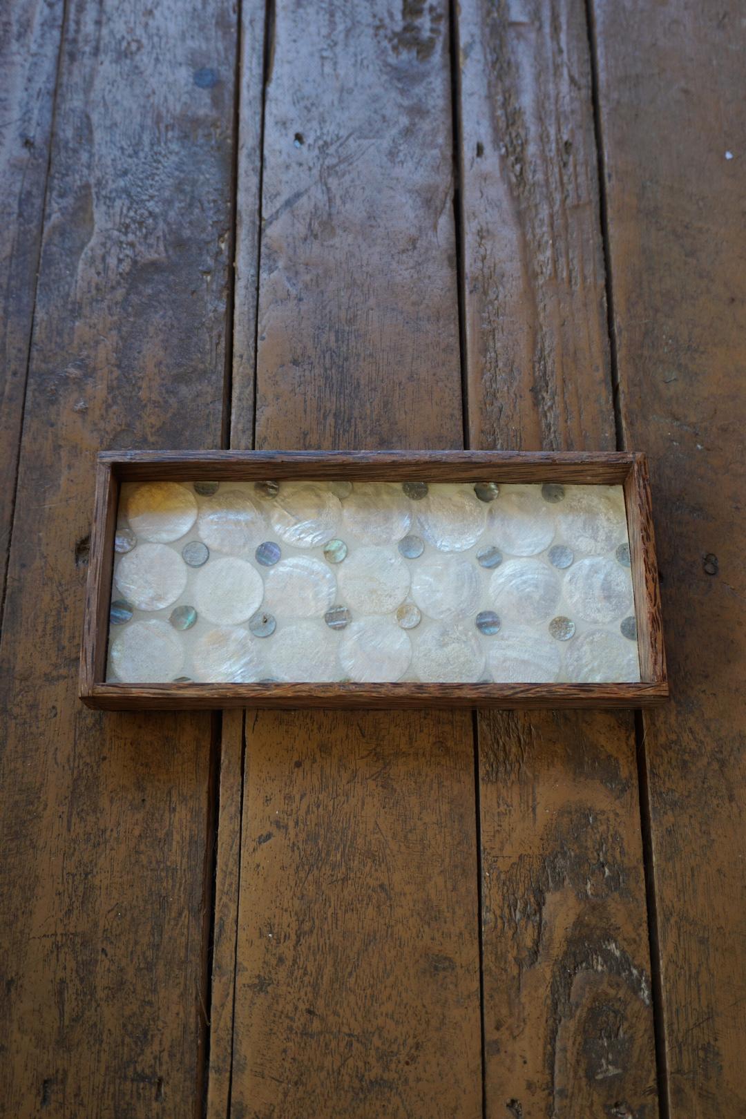 SHELL COIN TRAY-WHITE