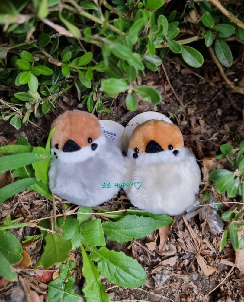 몽실 부푼 아기 참새 새 키링 동물 인형 2종 에어팟 차 가방 키링