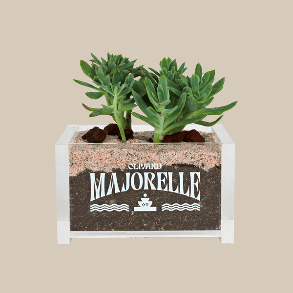 마조렐 싱글 No.1