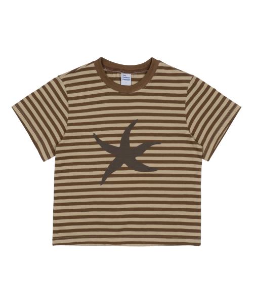 TCM starfish stripe T (brown)