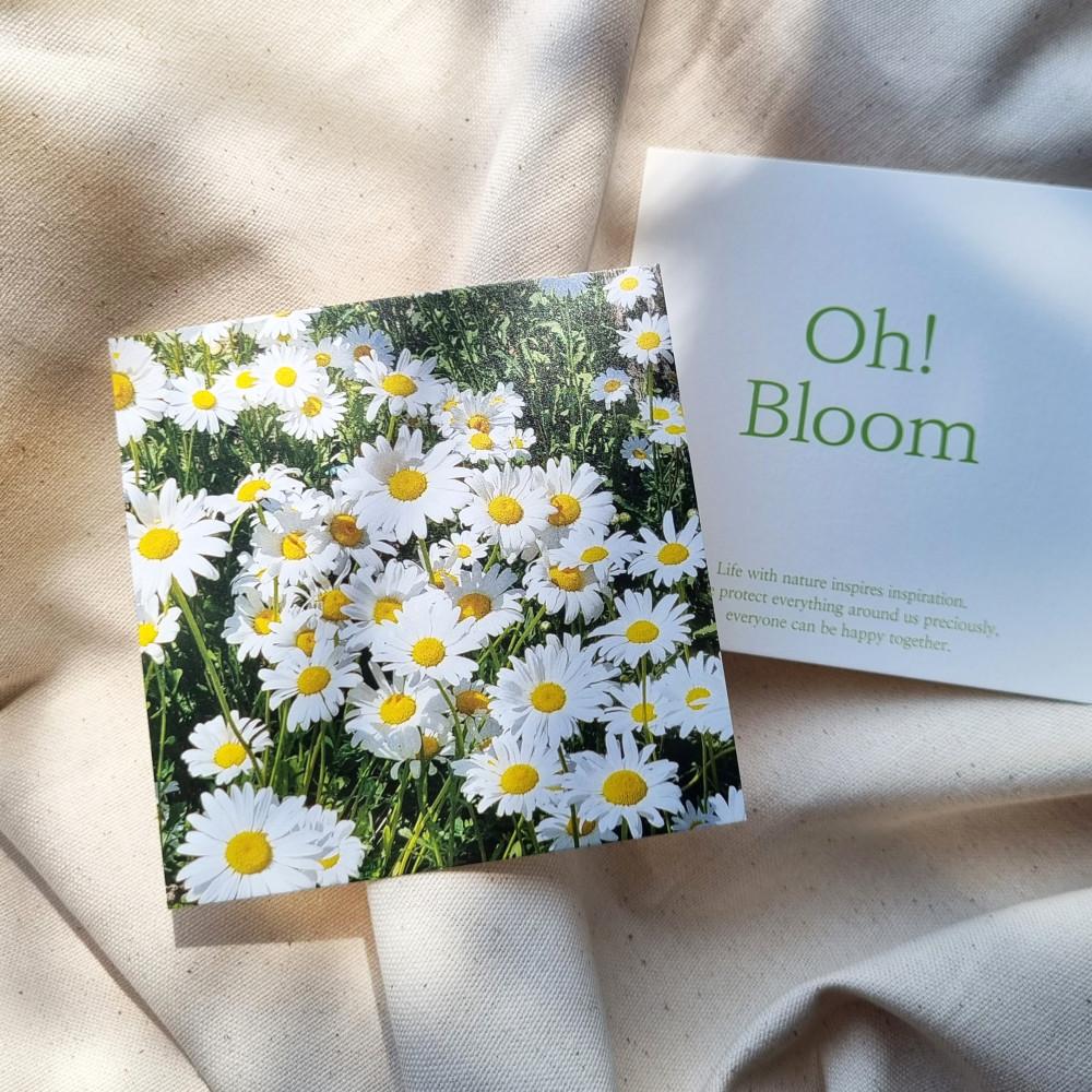 [원페이지] 감성 엽서 2종 세트_데이지