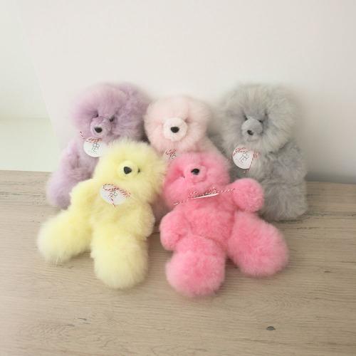 sugar teddy bear M size 5 colors