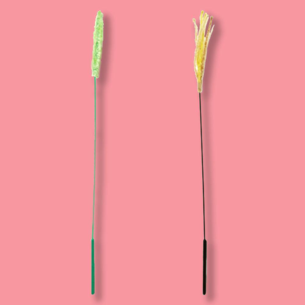 강아지풀 대사이즈 50cm