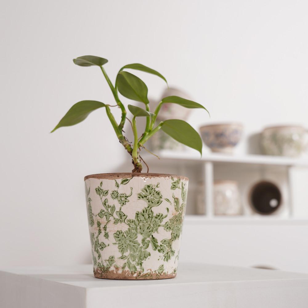 데팡스 베이직팟 엔틱 빈티지 화분 인테리어 분갈이 도자기 화분 그린