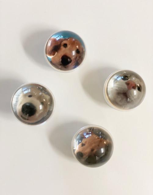 오잉 그립톡 반려동물 고양이 에폭시 포토 투명 반구 그립톡 제작