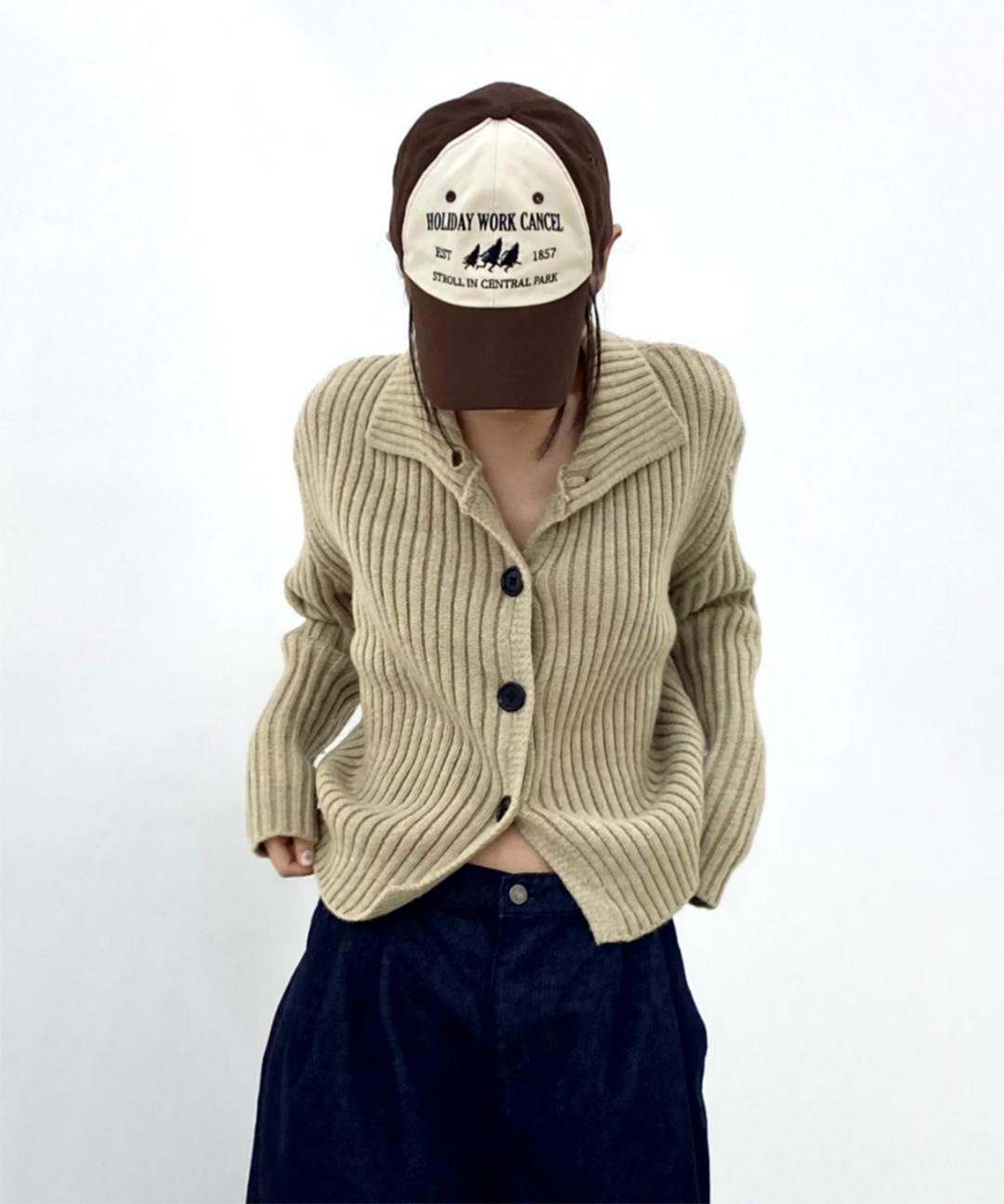 뱅크풀서울 [당일발송] 피트 니트 가디건 스웨터 (4color)