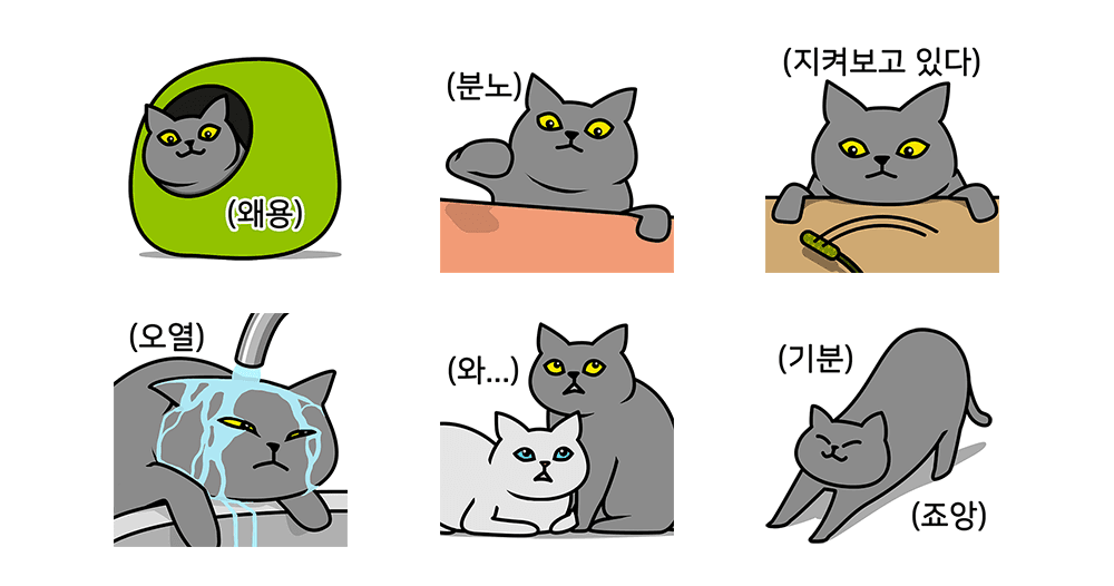 그레이 고양이야