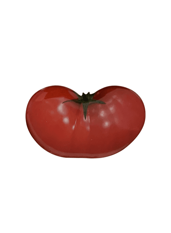 Tomato griptok