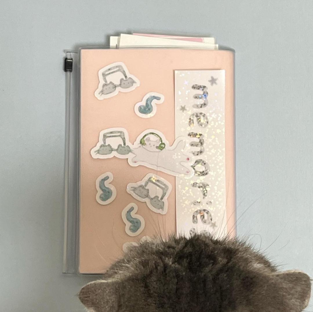 ✧ 메모리즈 ✧ 조각 스티커 세트