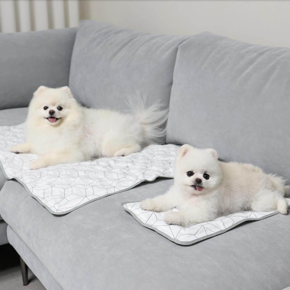 썸머시즌 OFF 세일중 [쿨잠이 쿨매트 S M L ] 강아지 고양이 어린이 우리가족 여름을 시원하고 쾌적하게 다양한 사이즈 더소이 쿨젤매트 2022년 생산품