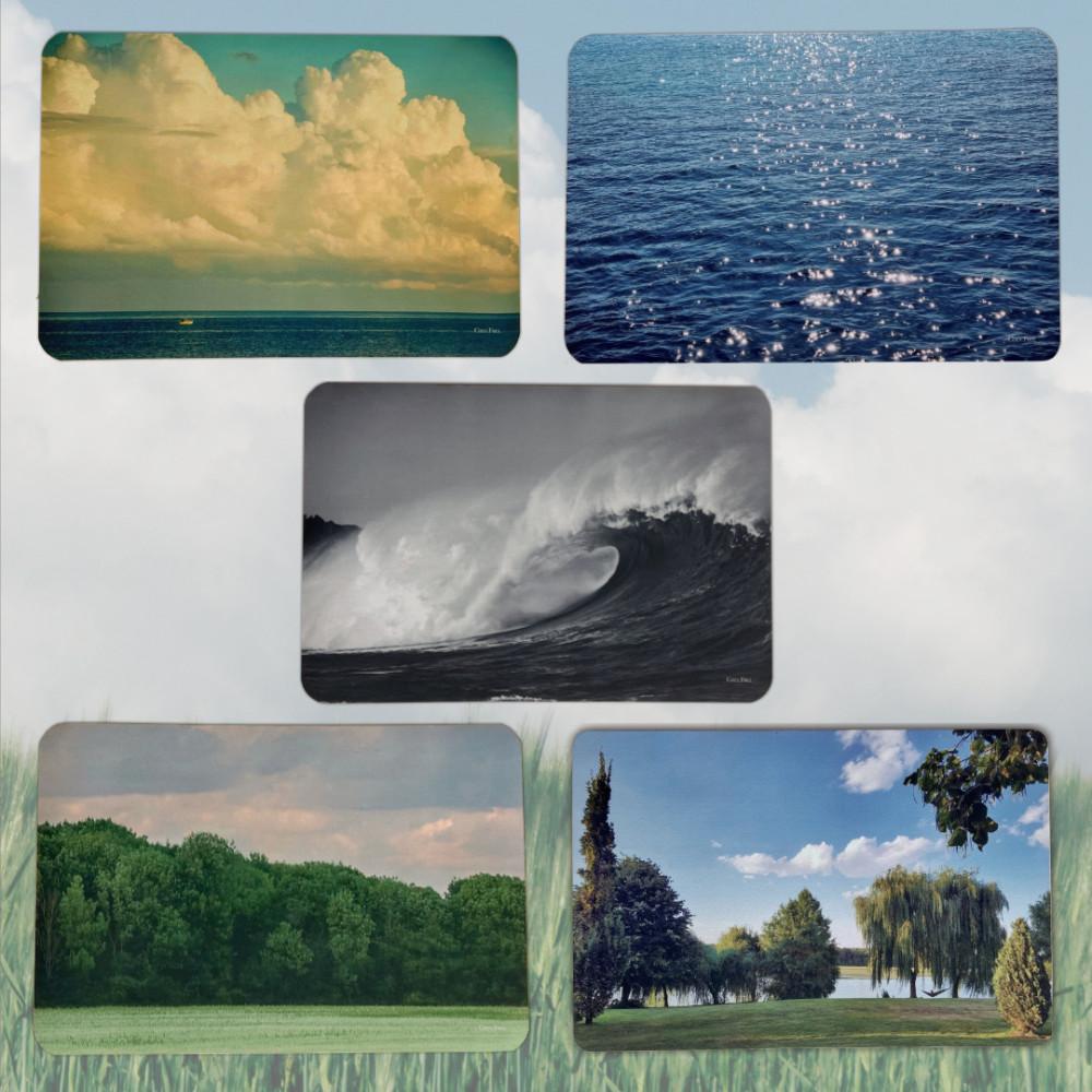 코지풀 비비드 네이쳐 워셔블 소프트 규조토 발매트 화장실 욕실 주방 빨아쓰는 미끄럼방지