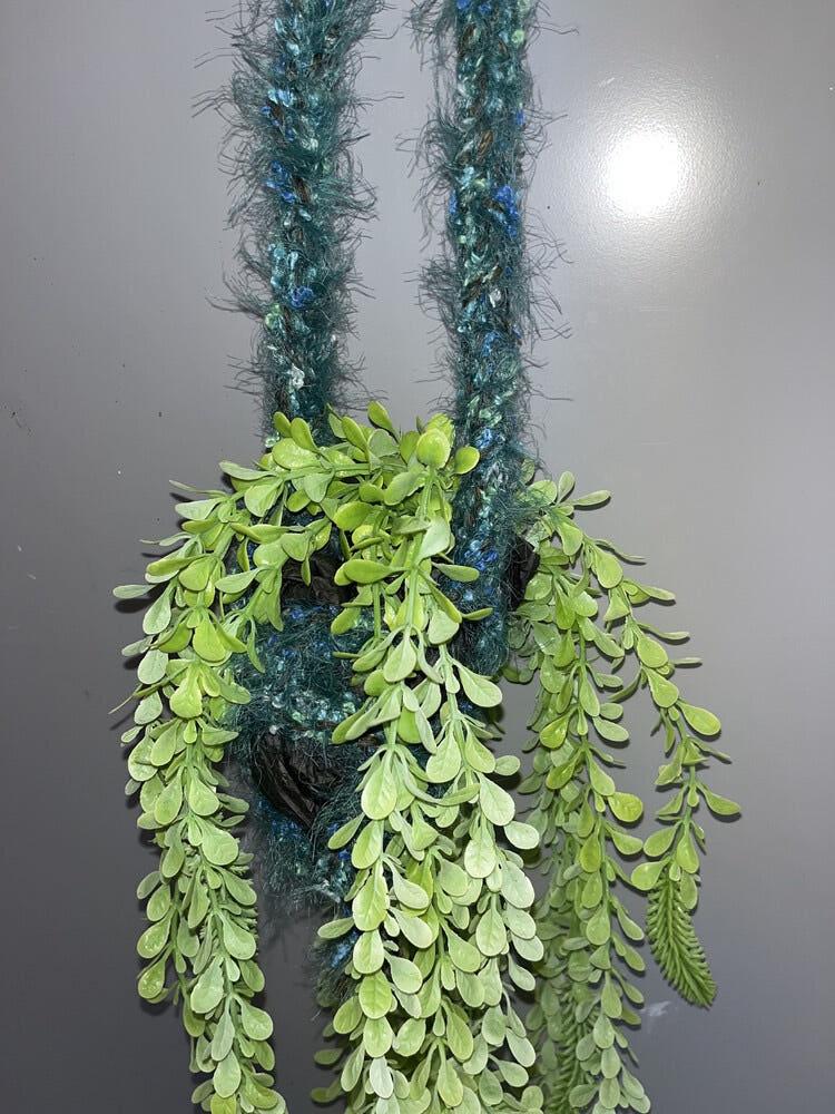 Forest hanging holder 숲 행잉 홀더