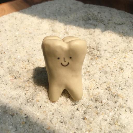 사랑니 인센스홀더