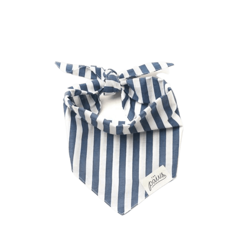 Harbour Dog Bandana
