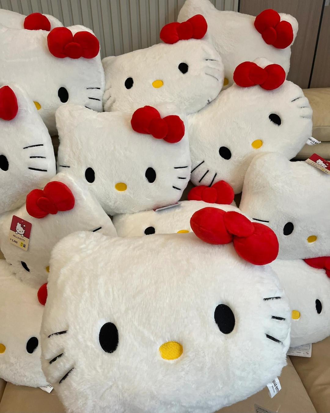 Hellokitty Cute Decorative Pillow Plush Toy Pillows Stuffed Plush Sofa Pillow(14 in x 10 in)