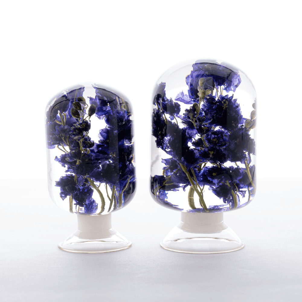 [피스오브타임] 델피니움