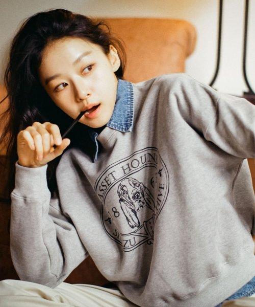SITP5072 basset hound sweat shirt_Melange gray