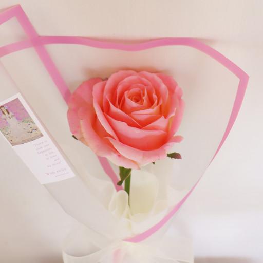 파스텔 한송이 장미꽃다발 생일선물 단체선물
