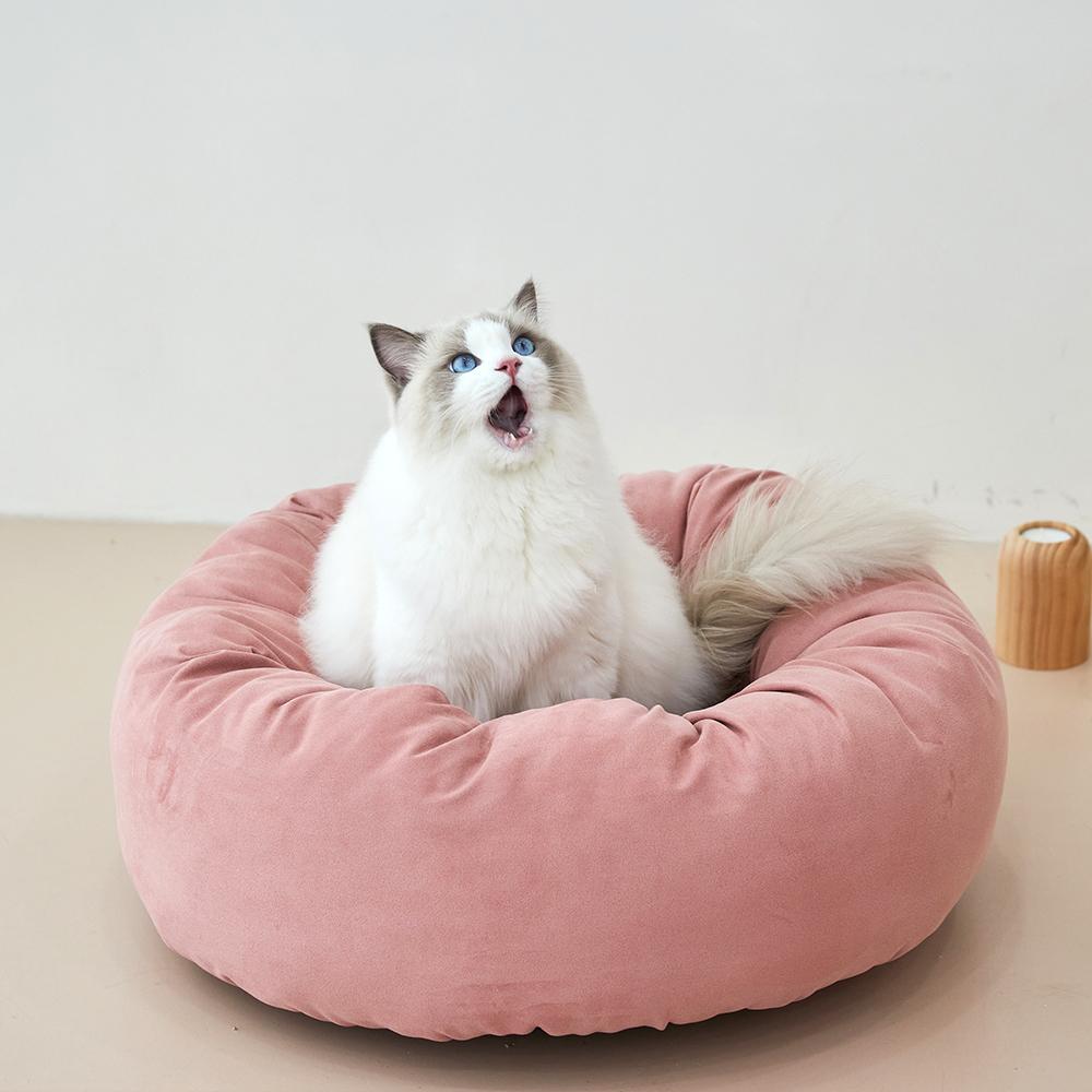 스튜디오 얼라이브 반려동물 마카롱 쿠션