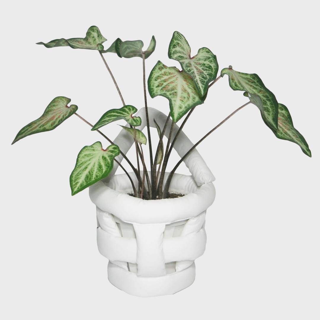 padded plant basket