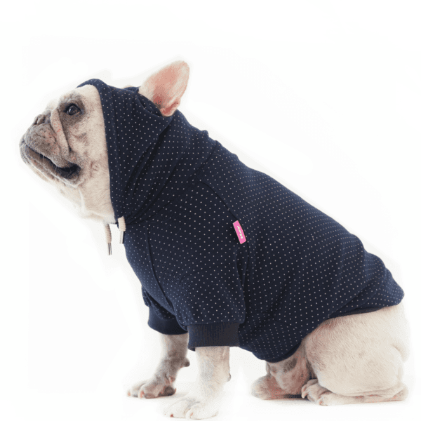 people say... hoodie [plain]