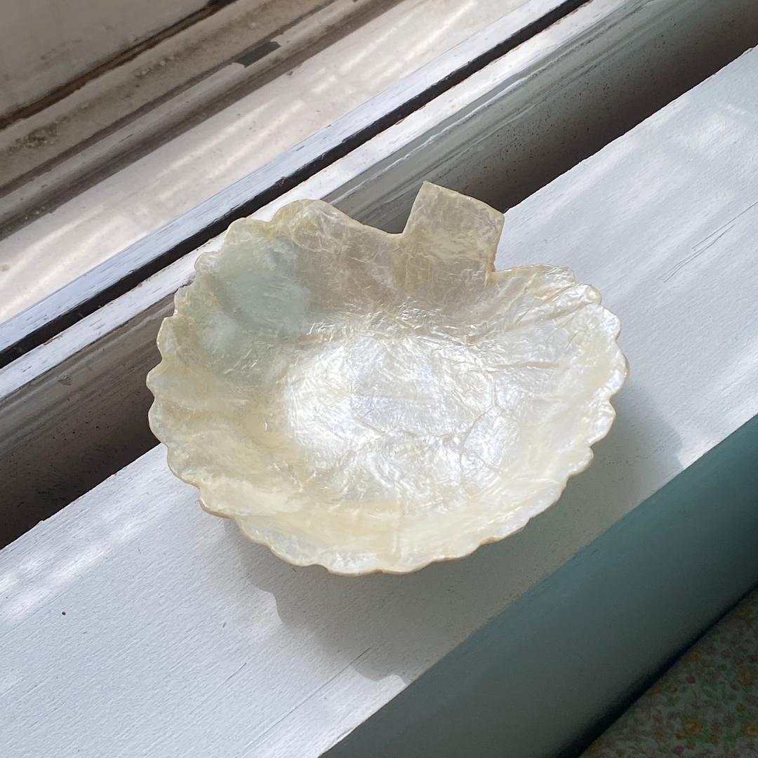 Ancan - Shell Bowl