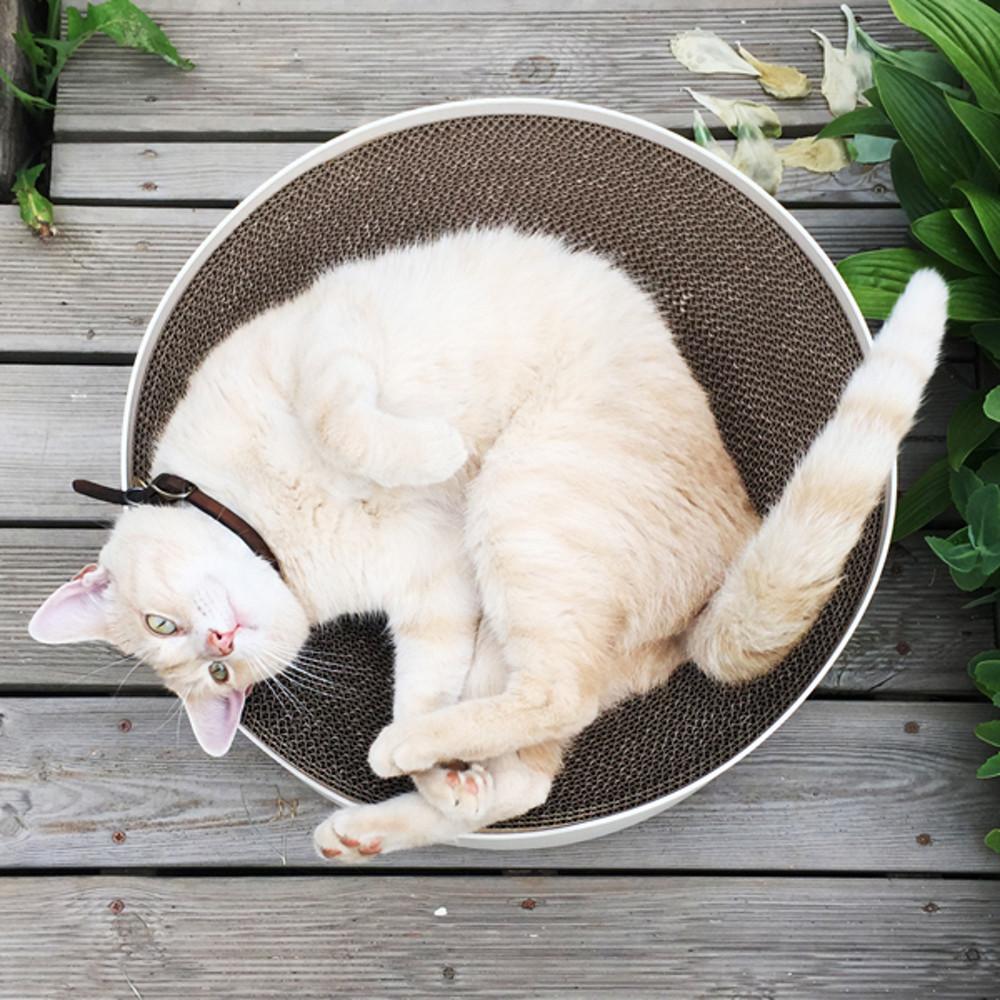 고공캣 캣모나이트_고양이스크래쳐, 고양이스크래처