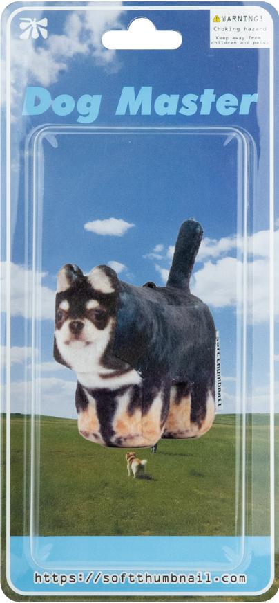 Pippin, Chihuahua